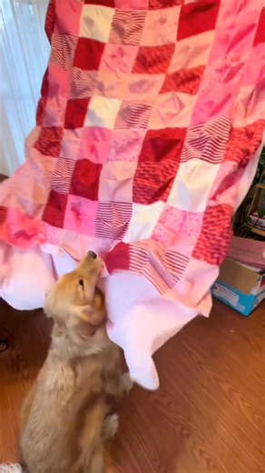 Part 9 | The highly requested full tutorial for the easy way to make a puff quilt!! Be sure to save this one for when you need it 🫶🏻 Video by Garren Roberts #creatorsearchinsights #puffquilt #sewingforyoupage #sewingtiktok #quilting #sewingtok Part 4 | Jennifer