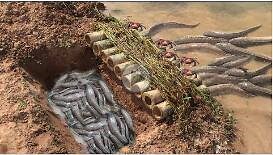 1K views · 24 reactions | How To Make Simple Trap By Hand With Deep Hole And Bambo - Catch Fish And Crab In Simple Trap | Shenzhen Fulljion Digital Technology Co.Ltd | Facebook