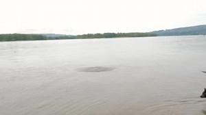 Summer Salmon Action from last summer! 🔥 | Addicted Fishing