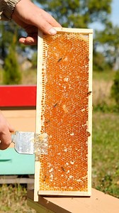 168K views · 119 reactions | Seamless Beeswax Recycling | Crafty Panda How | Facebook