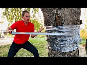 WIll Duct Tape Kill A Tree?