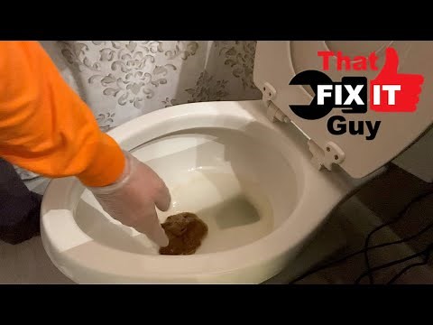 When the POOP don't flush!