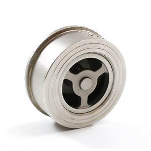 [Hot Item] Stainless Steel SS304 CF8m Lift Spring Non Return Check Valve