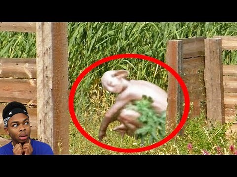 30 Scary Videos Only Adults Can Handle