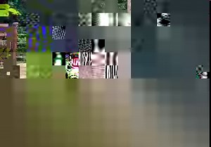 16K views · 1.5K reactions | Our precious Asian Elephant calves are...