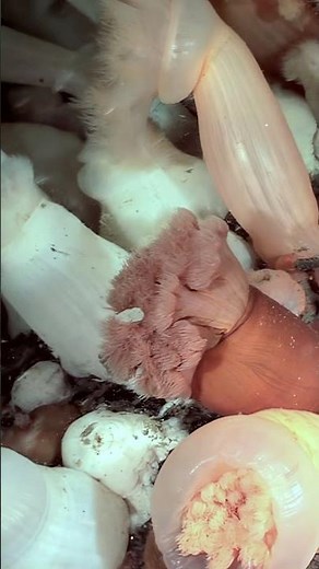 Mysteries Abound Within the Depths of the Arctic Ocean Floor