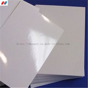 [Hot Item] Premium 300GSM PE Coated Paper for Versatile Applications