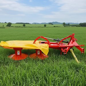 [Hot Item] Agriculture Machinery Rotary Mower Hay Cutter Hay Mower for Mini Tractor