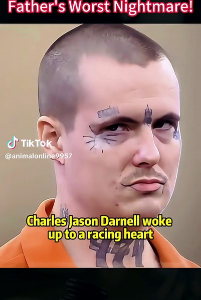 Animal Online on TikTok