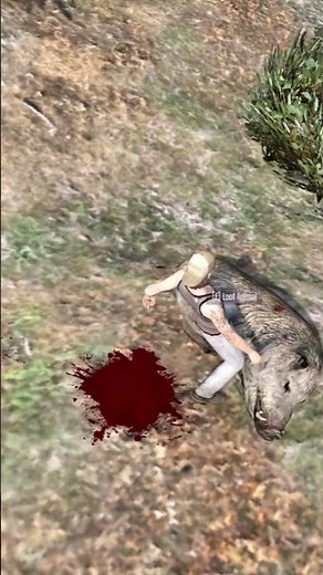 FiveM Animal Hunting & Looting