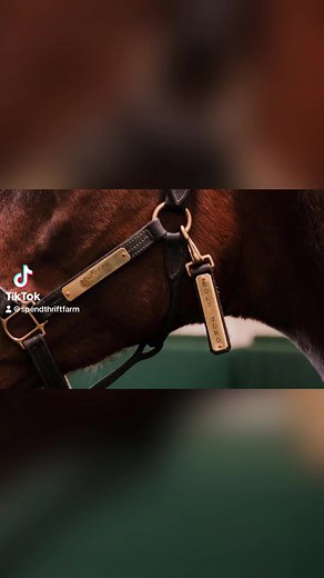They grow up so fast… 🥹 #TamaraTuesday | Spendthrift Farm