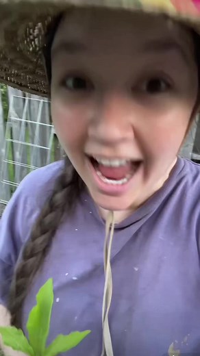 17K views · 652 reactions | Oak tree in my garden! #backyardgarden #acorn #oaktree | Holly Auna | Facebook