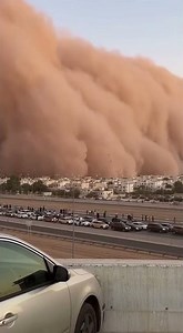 Take a deep breath. You are safe.