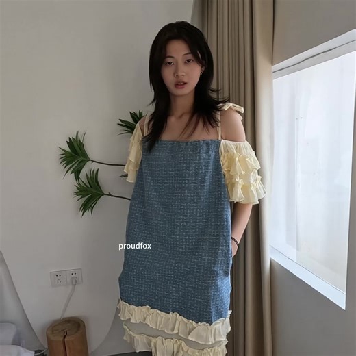 Proudfox xiaoyi