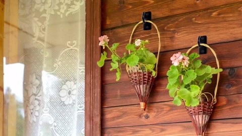 Ceiling Hooks for Hanging Plants - 2.5 Inch Iron Plant Bracket 8 Pack, Metal Plant Hanger Wall Hooks for Plants, Lanterns, Light, Wind Chimes, Indoor&Outdoor Decoration Black