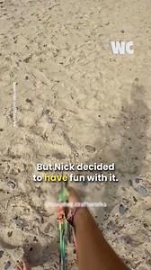 54K views · 908 reactions | These Boomerangs Are Bringing In The Fun | Watercooler | Facebook