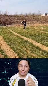 152K views · 730 reactions | Este hombre logró montar un avestruz como si fuera un caballo… ¡pero con truco incluido! ¿Quién se atrevería a intentarlo así? #AventuraSalvaje #MontandoUnAvestruz #DesafíoExtremo #AnimalesExóticos #TrucoInesperado #luzyvidaquito | Yo Soy Dandy Luz y Vida | Facebook