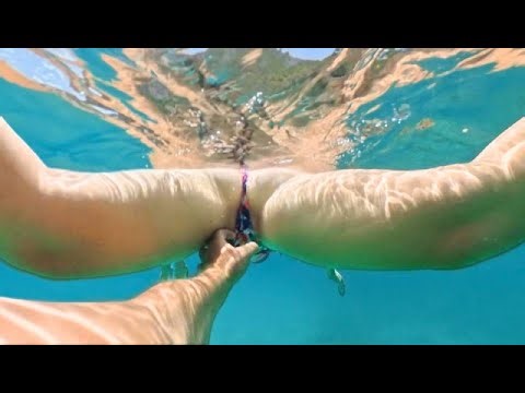 Must See! Snorkeling in Norwegian Sea 2025 | 4K