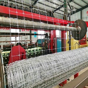 [Hot Item] Tight Lock Deer Fence Fixed Knot Camel Fence for Animal