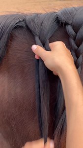 14K views · 1K reactions | Excited for the new year #2026 #equine #horse #braiding #grooming #haircare | BioMane Products | Facebook