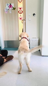 Ferie w naszym Oddziale Dziennym są absolutnie wyjątkowe... Dzisiaj odwiedzili nas goście, na których czekali wszyscy (ci mali i ci całkiem duzi!) - niesamowity duet, który udowodnił, że merdanie ogonem ma terapeutyczną moc.​Zajęcia z dogoterapii poprowadziła nasza fantastyczna terapeutka zajęciowa i certyfikowana dogoterapeutka – Ewa. 🐕‍🦺❤️​Dla naszych pacjentów to coś więcej niż zabawa. To:​Moment przełamania lęku i budowania zaufania.​Bezsłowna komunikacja, która daje poczucie akceptacji.​O