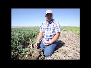 No till farming practices