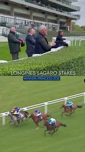 The love for your horse! Princess Zoe 🥇 l #Shorts