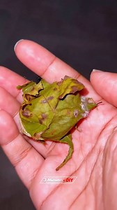 How Beautiful! | Hot Ideas