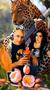 Zaboravi srce Dragana Mirković i Hegy Wauu 🍀 👋 ♥️ 💕