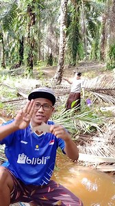 1M views · 10K reactions | Ayok Ikut Aku Mancing Ditengah Kebun Sawit | CAK IDRUS WOKEE | Facebook