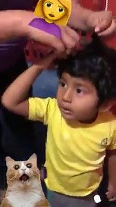 26K views · 412 reactions | Chihuahua News on Reels | Facebook