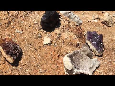People Are Really "Digging" Diamond Hill Mine | Palmetto Scene