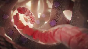 56 reactions · 39 shares | Cardiac Arrhythmia. | The World of Internal Medicine | Facebook