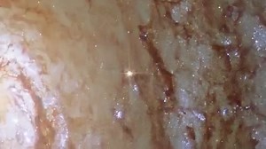 344K views · 2.5K reactions | Zooming in on Calcium-rich Supernova SN...