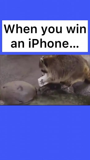 Yes, “hot singles in your area” is a scam too… #nordvpn #vpn #meme #funny #datasecurity #firewall #server #vpnrouter #ethicalhacking #wifi #virtualprivatenetwork #datasecurity #cyber #dataprotection #informationsecurity | NordVPN