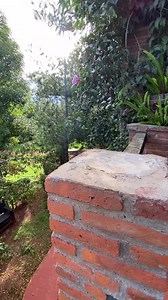 Descubre la exclusiva oferta de noviembre en Cabañas Azul Tequilana. De lunes a viernes, disfruta de la cabaña Deluxe por solo $900. Cama king-size, tina y chimenea te brindarán momentos de relax, y como regalo adicional, una hermosa decoración con pétalos y rosas. ¡No dejes pasar esta oportunidad única! Comunícate y reserva al 📲WhatsApp 3481057085. Síguenos en Instagram 👉 azultequilana_arandas y en TikTok 👉 @azul_tequilana. | ViveArandas.com