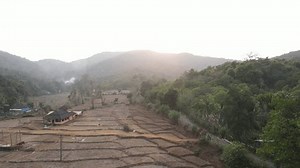 Farm Goa Netravali Neturlim Goa India Stock Footage Video (100% Royalty-free) 3395006257 | Shutterstock