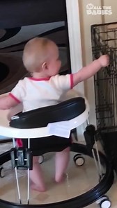 Babies escaping | All The Babies