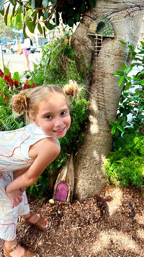 🧚🏻‍♂️ The Laguna Beach Butterfly and Fairy Garden is a must-see attraction when you are visiting the city of Laguna Beach. 🧚🏽‍♀️ This whimsical wonderland is home to over 30 fairy houses and fairy scenes, with charming surprises around every corner. 🌳Located on the South East side of the Laguna Beach Branch Library. This garden is a fairy lovers delight and fun for ALL AGES! 🧚🏽‍♂️🍃🧚🏽‍♀️ 🦋The garden has a mixture of drought tolerant pollinator friendly plants, mature shrubs and trees. 