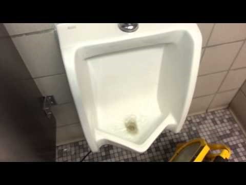 urinals american standard