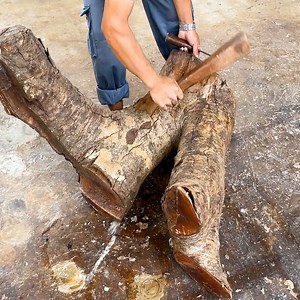 A Giant Tree Stump Will Surprise You | WT Team Woodworking