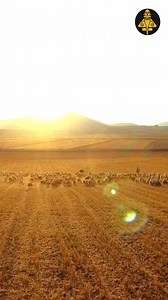 European immigrants introduced farming to prehistoric North Africa! | Ancient Library