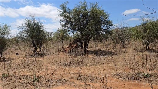 Hydrogeological survey in #KajiadoCounty | Bonvic Drilling Company