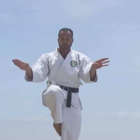 Check them all out at : https://www.warrenerentertainment.com/search.php?search_query=Box Sets | Don Warrener