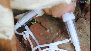 Goat Milking Machine, Automatic Goat Milker Portable Goat Milk Machine with Pulsating Vacuum Pump for Goats,3L