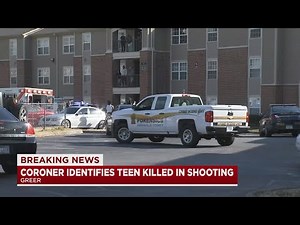 Teen charged with murder after deadly Greer shooting