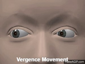 Eye Movement Terminology on Make a GIF