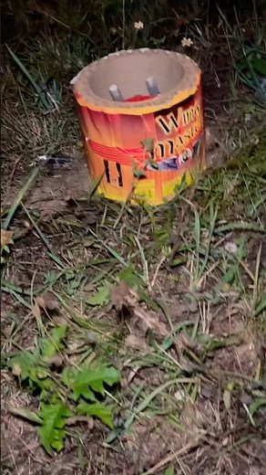 Wing Master #firework #2024 #pyro