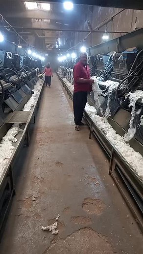 Cotton Processing Facility: Behind the Production Line