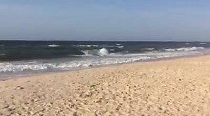 Even the sandpipers love a morning #beach stroll. #traveltuesday #nature #stgeorgeisland | Resort Vacation Properties of St. George Island